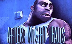 After Night Falls