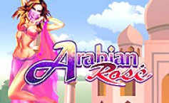Arabian Rose