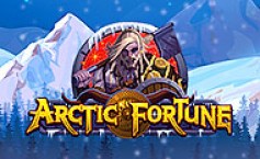 Arctic Fortune