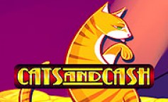 Cats and Cash