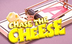 Chase The Cheese