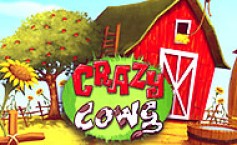 Crazy Cows
