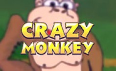 Crazy Monkey