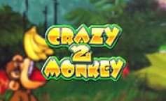 Crazy Monkey 2