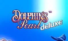 Dolphin